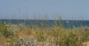 Mas Larrieu Argelès-Sur-Mer